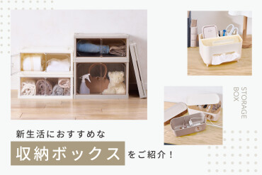 《新商品》新生活に！収納ボックス🌱 ໒꒱ ⡱