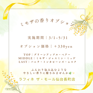 スペシャルオプション登場⭐