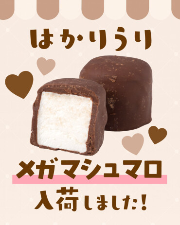 量り売りお菓子新商品案内🍪