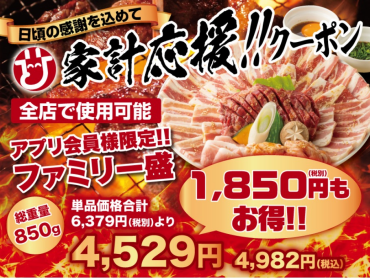 家計応援！！　ファミリー盛　限定販売！