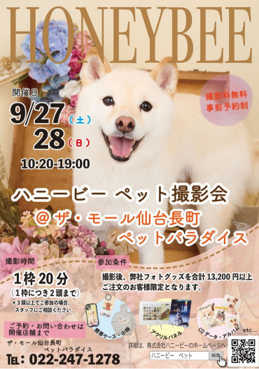 ハニービー撮影会