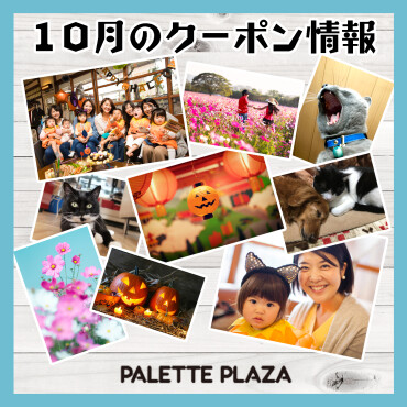 10月のクーポン情報🎫