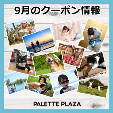９月のクーポン情報🎫