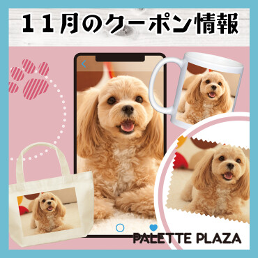 １１月のクーポン情報