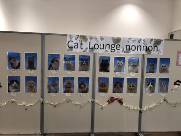 証明写真風キャスト紹介・性格分布図✨