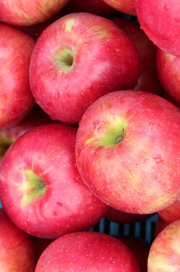 🍎こだわりのシャキシャキりんご🍎
