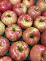 本日のりんご🍎✨